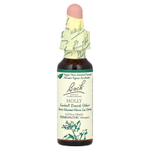 Bach, Original Flower Remedies, падуб, 10 мл (0,35 жидк. унции)
