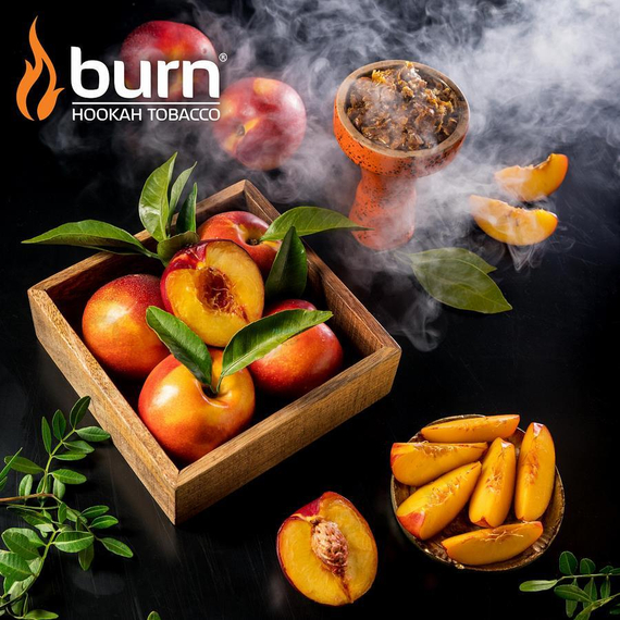 Burn Nectarin (Нектарин), 100 гр