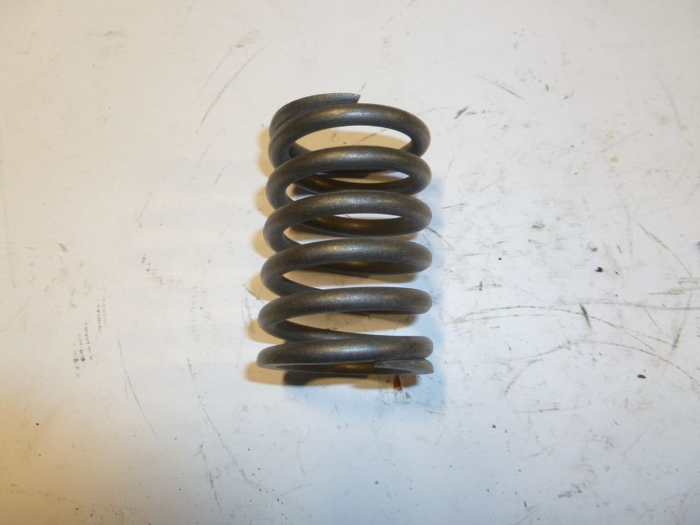 Пружина клапана наружная Ricardo R6110ZLDS; TDK 56- 170 6LT/Outer spring,inlet &exhaust valve (R010022)