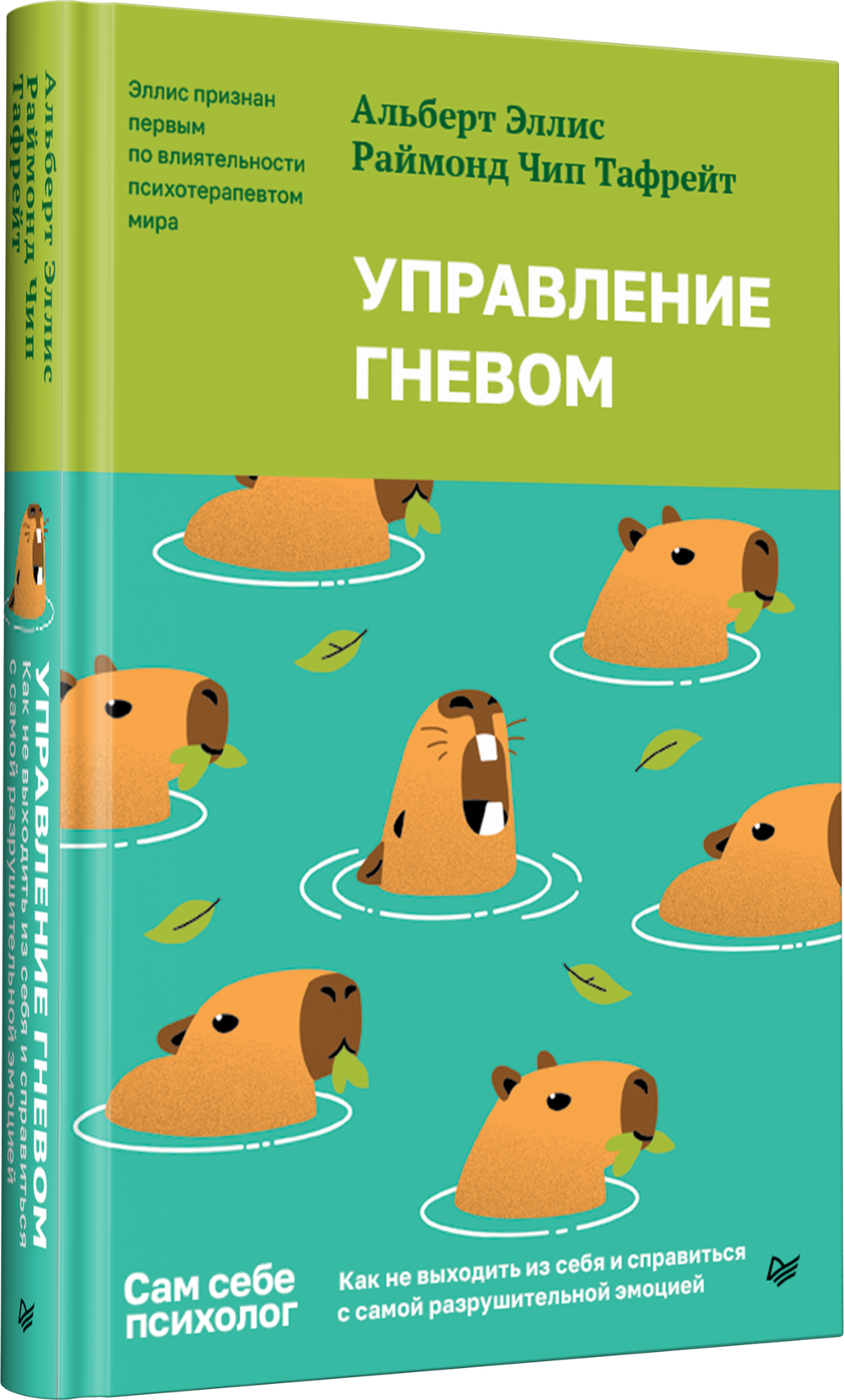 Управление гневом. Как не выходить из себя и справиться с самой разрушительной эмоцией