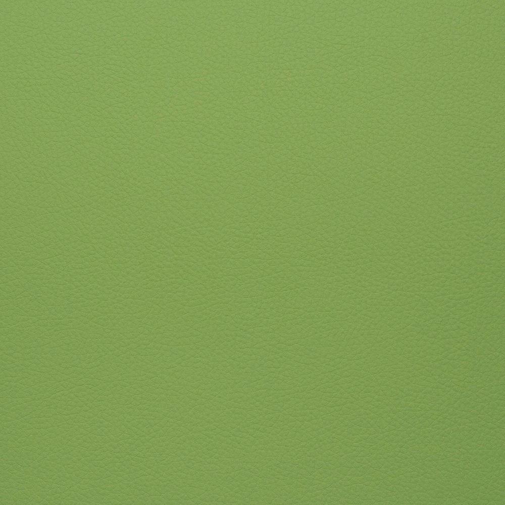 Искусственная кожа Grifon (Грифон) 06