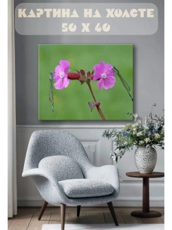 Картина на стену 40 X 50 Стрекозы