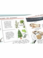 Детская энциклопедия с окошками "Мир динозавров"