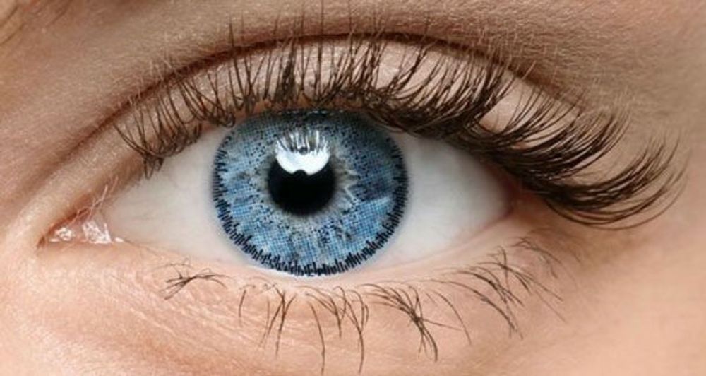 Прибор для демонстрации действия глаза (Модель Зрение) — купить по ФГОС | Учебный стандарт