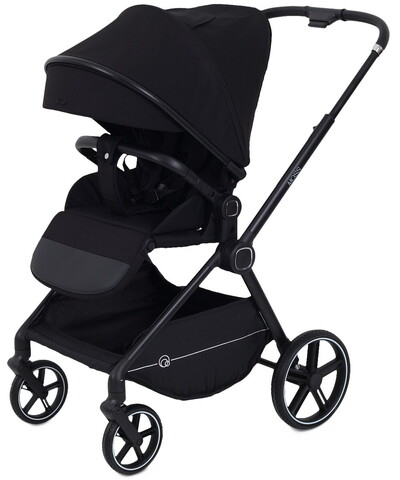 Детская прогулочная коляска Rant Moss Black