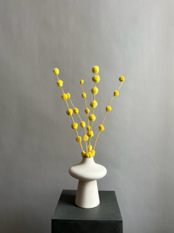 Гомфрена шаровидная стабилизированная желтая