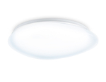 FZ1605 FR матовый IP20 60W 5000K 510*100 (Без ПДУ)
