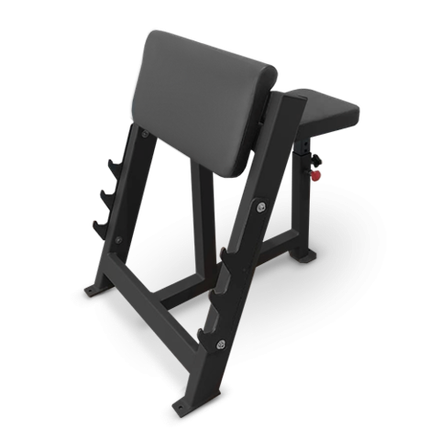 Скамья Скотта Bronze Gym AL-303