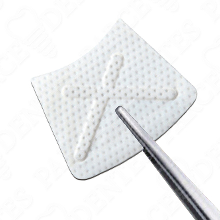 PTFE мембрана 13х19