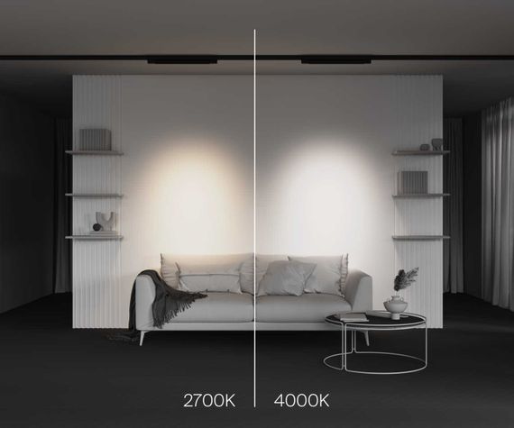 Трековый светодиодный светильник Maytoni Technical Points TR195-3-20W2.7K-M-B