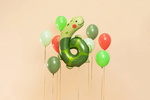Шар "Цифра 6" (Черепаха)