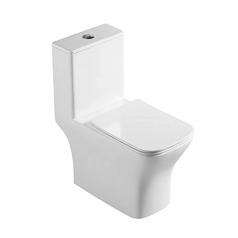 Унитаз-моноблок BelBagno NEON BB8617CPR-MN/SC белый, с крышкой микролифт, безободковый