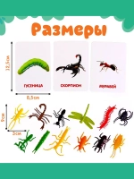 Развивающий набор Мир насекомых