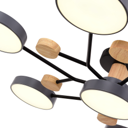 Светильник потолочный Evoluce Faema SLE6006-702-07