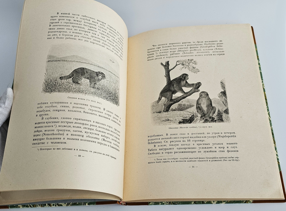 "Тибет и Далай-Лама". П.К. Козлов. 1920г.