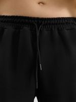 Брюки мужские Интер-2 Виотекс ЧЁРНЫЙ