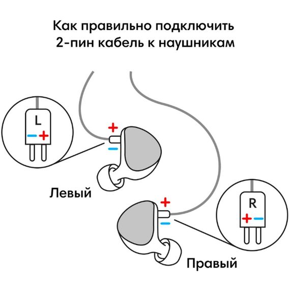 Aurian Acid Universal
