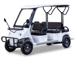 Гольфкар GreenCamel A42 (4+2 2500W 225/40-10' литые)