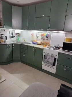 Эко Краска DECOR для мебели, декора и деревянных поверхностей, цвет Сеньорита петрушка