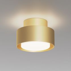 Потолочный светильник Maytoni   C092CL-GX53-MG