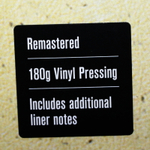Jean-Luc Ponty / No Absolute Time (2LP)