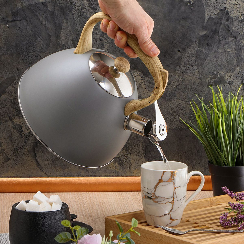 Чайник нерж, 3 л, свист, ручк с силик покр, Daniks, индукц, сер, MSY-079G