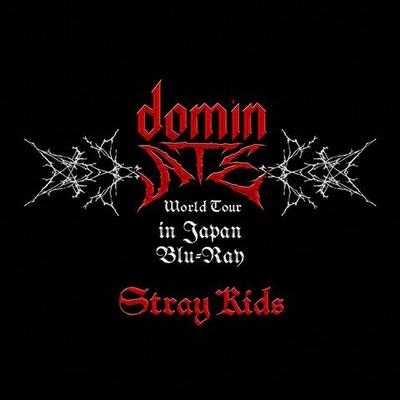 видео Stray Kids - dominATE JAPAN WORLD TOUR BLU-RAY