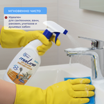 Чистящее средство Mixline для удаления известкового налета 600г СПРЕЙ