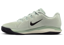 Женские теннисные кроссовки Nike Zoom Vapor 12 Clay - light silver/black/steam white