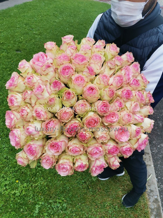 51 Роза Эквадор