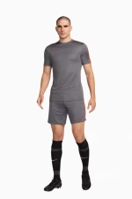 Шорты Nike Dri-FIT Academy - серый