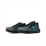 Кроссовки Nike Air Max Plus Smoke Grey