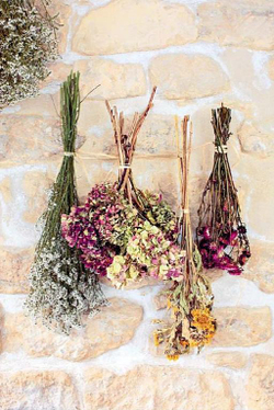 Dried Flowers: Techniques and Ideas for the Modern Home