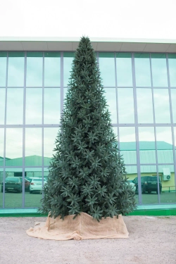 Интерьерная искусственная елка Европейская Премиум 3,5 м., ствольная, Литая хвоя+ПВХ, Green Trees (GT3,5EVR)