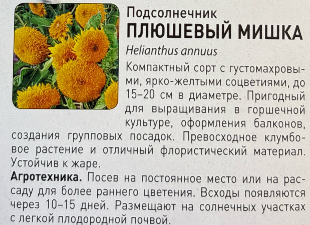 Подсолнечник Плюшевый мишка 0,5 г СМЦ-375