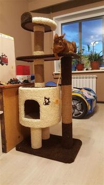 Домик для кота Д-2