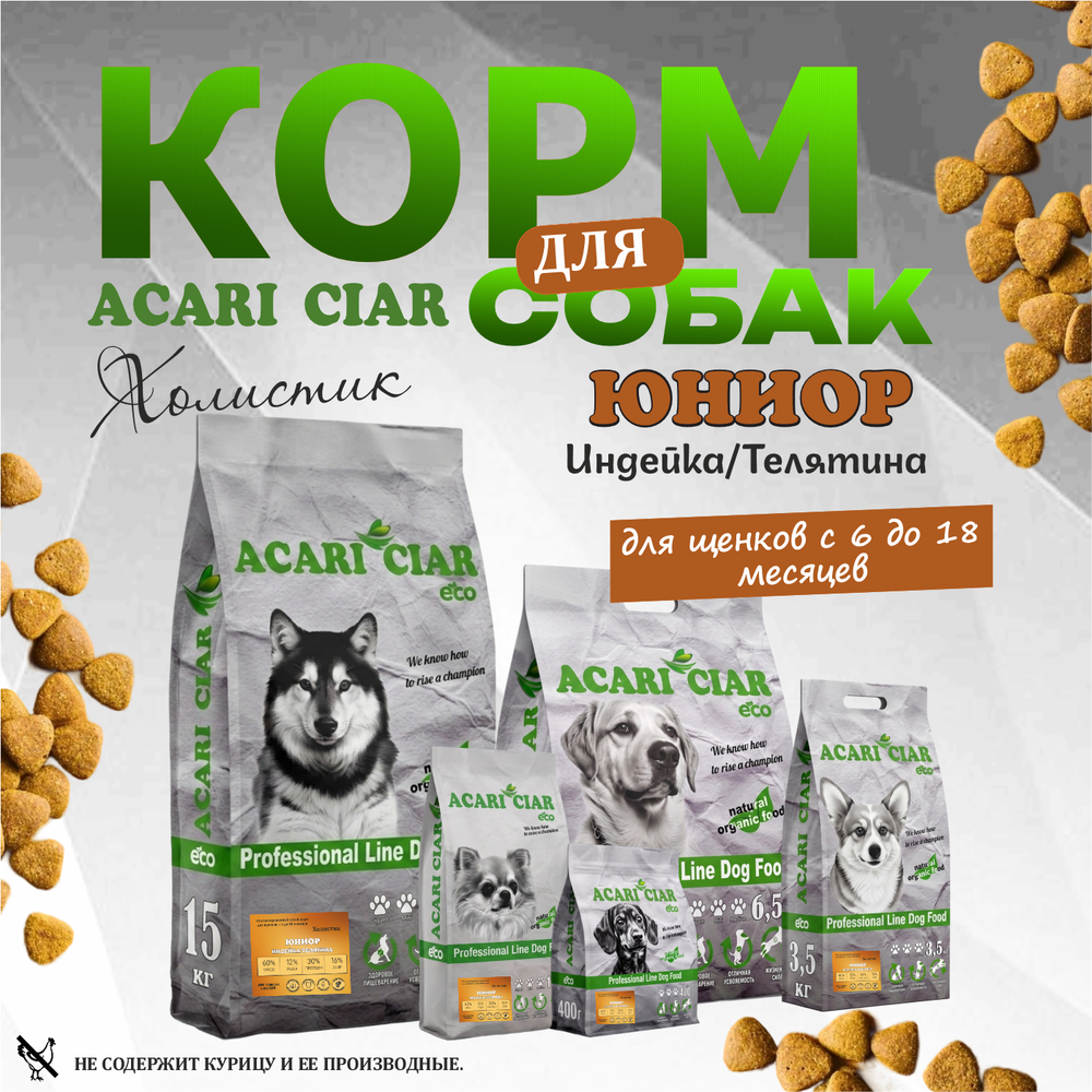 Acari Ciar Юниор