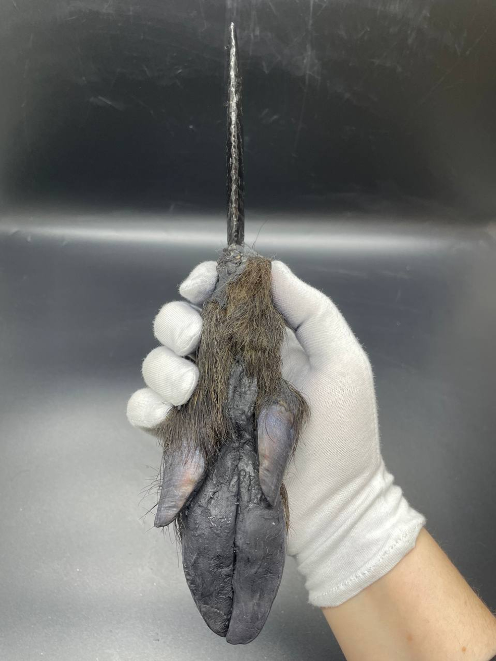 Обсидиановый нож с рукоятью копыта вепря 28 см