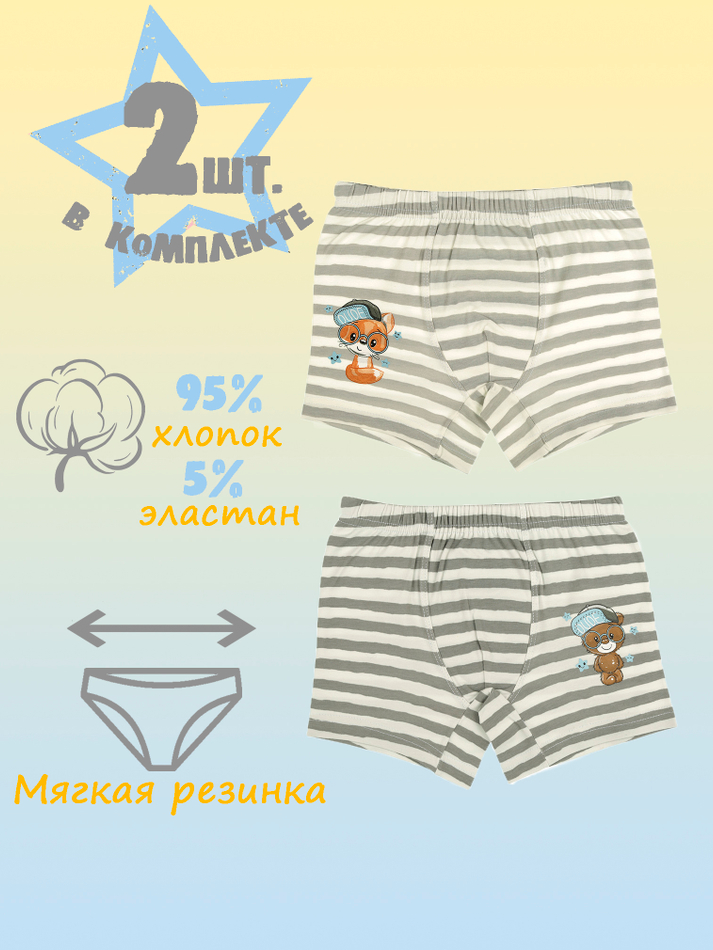 Боксеры для мальчика (2 штуки в упаковке)