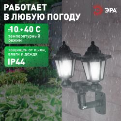 Светильник уличный ЭРА ERASV01-01 садовый настенный на солнечной батарее пластик черный 150 см