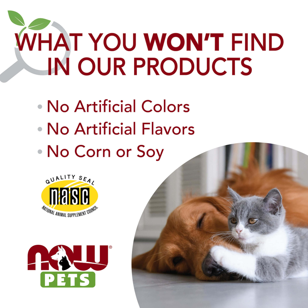 NOW Foods, Now Pets, L-лизин для кошек, 226,8 г (8 унций)