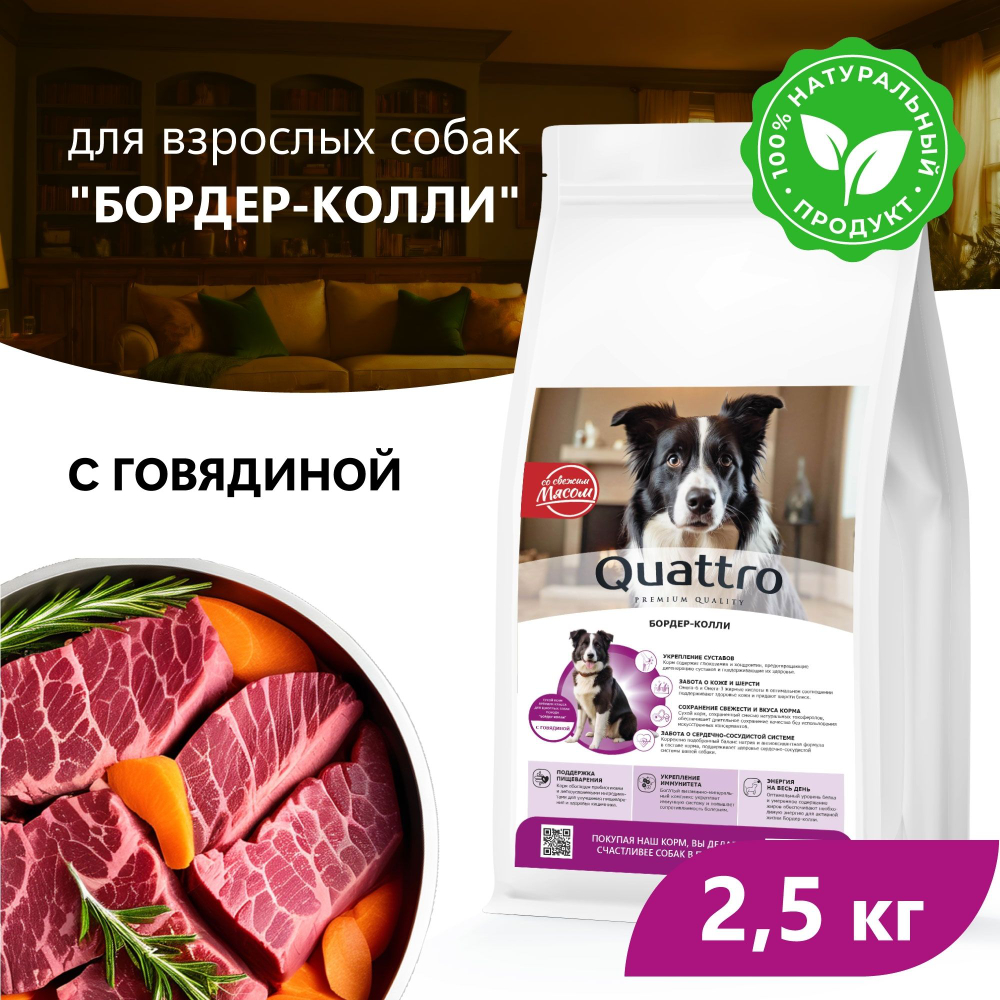 Корм сухой для взрослых собак породы Бордер-колли, премиум полнорационный комплекс, с говядиной, 2,5 кг, QUATTRO