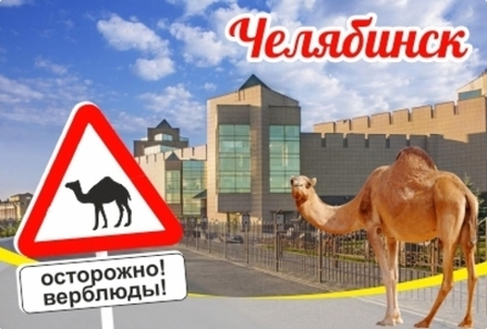 Магнит Челябинск Осторожно! Верблюды! закатной 80*53 мм №0096