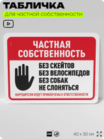 Табличка для частной территории "Частная собственность", на дом, для участка, организаций, предупреждающая, 40х30 см, Silver Plane x Айдентика Технолоджи