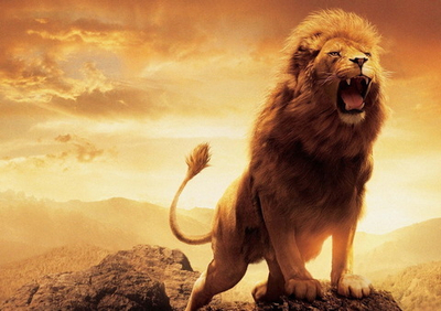 Фото на стекле "Король зверей"