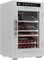 Винный холодильник Cold Vine C46-WW1M