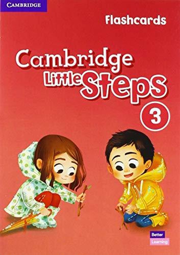 Little Steps 3 Flashcards