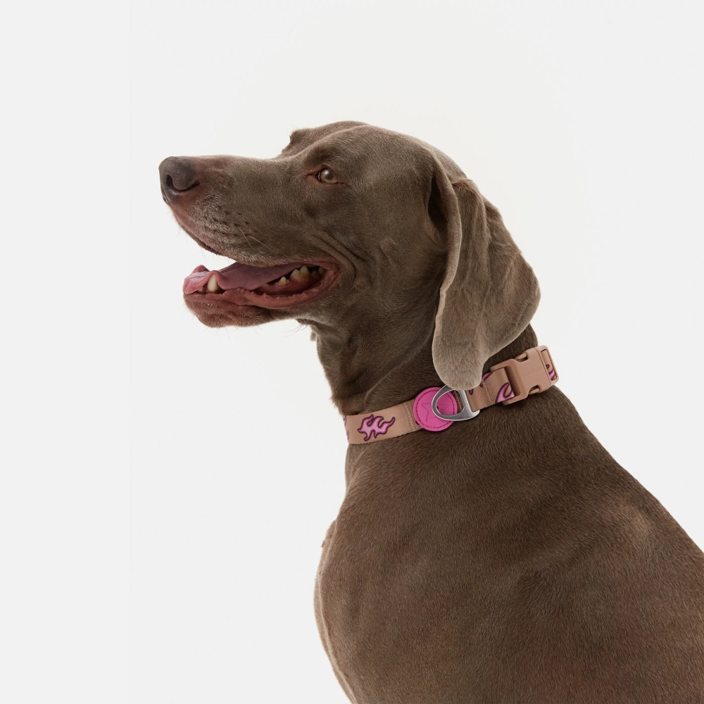 Ошейник Hot Flames