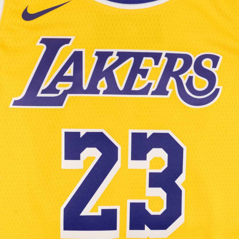 Баскетбольная детская джерси Nike Boys Icon Swingman Jersey Los Angeles Lakers Lebron James