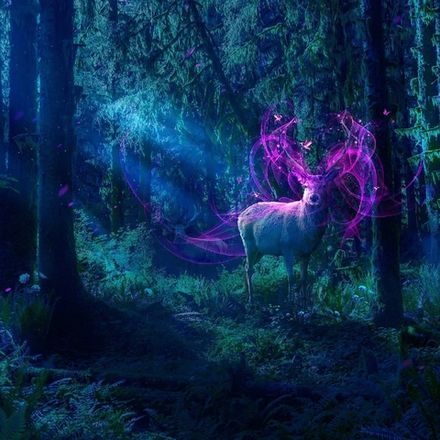 Сумеречный лес (Twilight Woods)